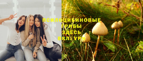 героин Богородицк