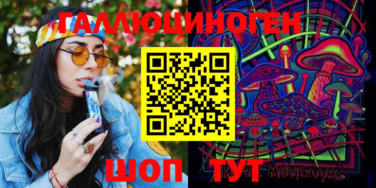 Псилоцибиновые грибы Psilocybine cubensis Владимир