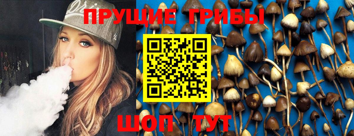 Владимир  где найти наркотики  Псилоцибиновые грибы мицелий  Вход с VPN  Галлюциногенные грибы Magic Shrooms 