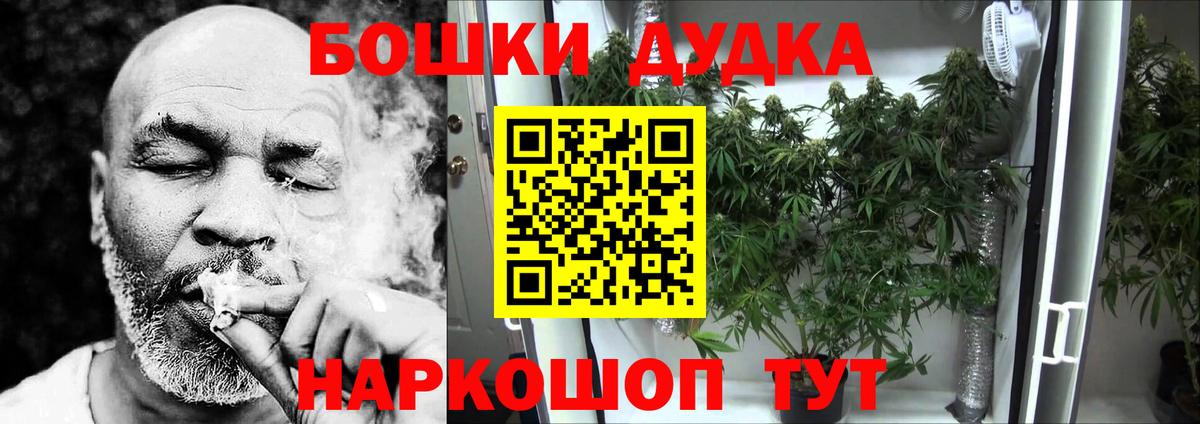 Бошки Шишки SATIVA & INDICA  Каннабис гибрид  Владимир  Вход с VPN  МАРИХУАНА гибрид 