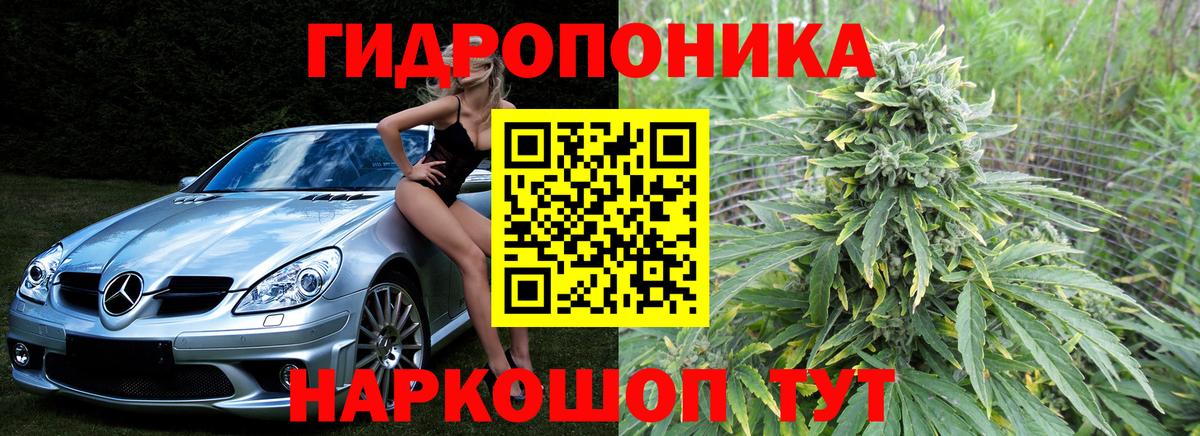 Шишки марихуана MAZAR Владимир